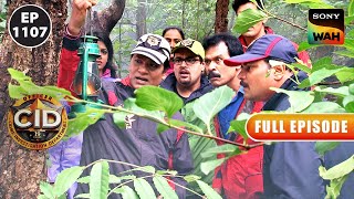 Lantern वाली Spirit ‘Anna’ ने CID के लिए छोड़े Clues  CID  सीआईडी  2 Mar 2024 [upl. by Nahgem]