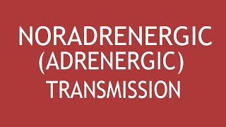 NoradrenergicAdrenergic Transmission by Dr Shikha Parmar [upl. by Ativ802]