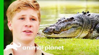 Moving The Biggest Croc At Australia Zoo  Crikey Its The Irwins [upl. by Besnard]