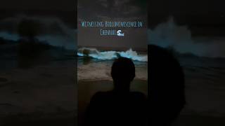 Bioluminescence in Chennai Palavakkam beach ECR 🌊🫰🏻bioluminescence palavakkam chennaibeach [upl. by Ebenezer]