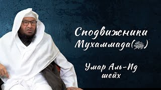 Сподвижники  Сильное напоминание  Кто они cподвижники Пророка Мухаммада ﷺ Шейх Умар альИд [upl. by Yerfej401]