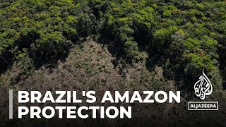 Brazil’s Amazon deforestation drops sharply in first half of 2023 [upl. by Hittel996]