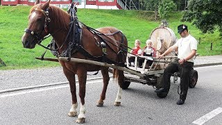 Alpabfahrt Schwäg und Potersalp 1182018 [upl. by Ahsurej]