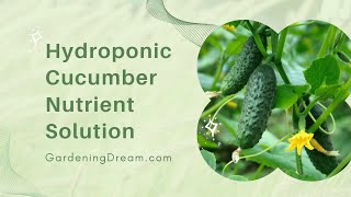 Hydroponic Cucumber Nutrient Solution [upl. by Ursal]