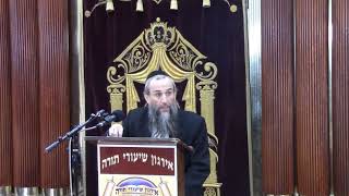 Hilchos Shabbos Series HaRav Zev Smith 1152020 [upl. by Enomahs]