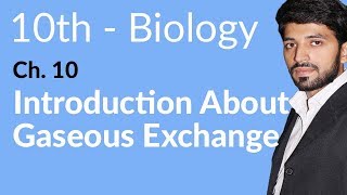 10th Class Biology Chapter 1  Introduction About Gaseous Exchange  Class 10 Biology Chapter 1 [upl. by Garlaand]