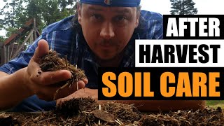 After Harvest Bed and Soil Care [upl. by Noloc]