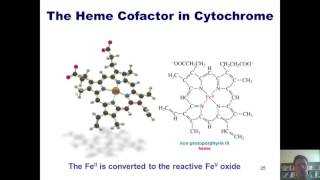 Chapter 12 – Radical Chemistry Part 5 of 6 Benzylic and Allylic Substitution [upl. by Yenots258]