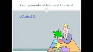 Internal Control amp Control Risk AuditingSpring 20138 Prof Helen Brown [upl. by Bumgardner]