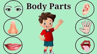 Parts Of Body  Human body parts  Kids Fun Learning [upl. by Valdes]