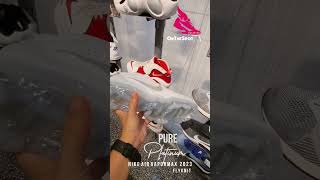 Nike Air VaporMax 2023 Flyknit PURE PLATINUM [upl. by Chemush]