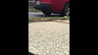 2015 Camaro V6 Muffler Delete [upl. by Kirtley]