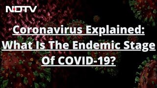 Coronavirus Explained What Is The Endemic Stage Of COVID19 [upl. by Aysahc]