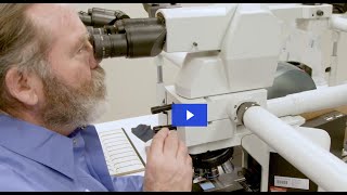 Inside the Lab Exploring The Prolaris® Biopsy Test [upl. by Led365]