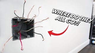 The BEST Way To Trace Wires Hidden Inside Your Walls DIY How To For Beginners [upl. by Lsil906]