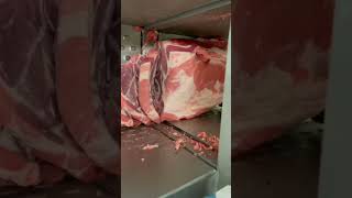 meat shredding machine short [upl. by Nnylkcaj]