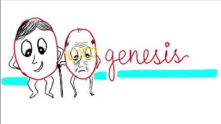 Oogenesis Maturation of oogonia to oocyte [upl. by Anidal]