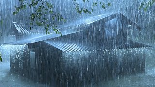 HEAVY RAIN on Roof for Deep Sleep amp Insomnia Relief  Night Thunderstorm for Insomnia Study ASMR [upl. by Marc]