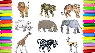 Wild Animals coloring pages [upl. by Anaeel]