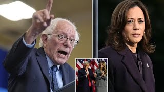 quotBernie Sanders Slams Democrats PostElectionquot [upl. by Van851]