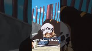 Subscribe if you got it  One Piece What was trafalgar laws first crew anime onepiece animes [upl. by Anitniuq]