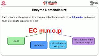 Enzyme Classification and Metabolism [upl. by Enelyt]