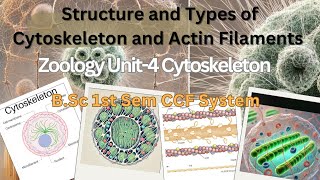 Structure and Types of Cytoskeleton amp Actin Filaments। Honours General। [upl. by Thurston]