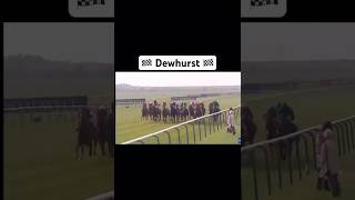 Darley Dewhurst memory group one race Shorts FYP GoViral HorseRacing [upl. by Donnamarie]