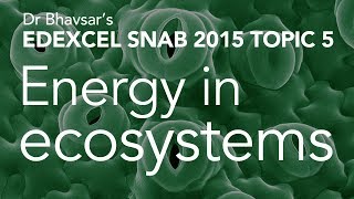 Energy in ecosystems topic 5 for Edexcel SNAB A level biology [upl. by Riebling570]