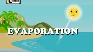 Evaporation  Elementary Science [upl. by Nason835]