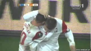 Ludovic Obraniak fantastic second goal for Poland Poland 31 Cote dIvoire [upl. by Shig]