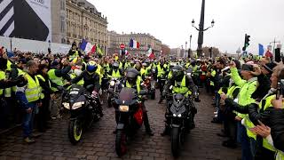 Départ de la manifestation samedi 15h45 place de la bourse [upl. by Ycinuq]