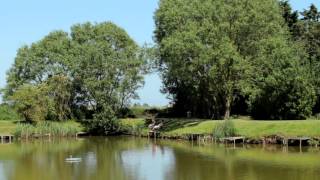 Mill Road Fishing Lakes Skegness [upl. by Euqinmod]