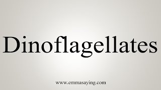 How To Say Dinoflagellates [upl. by Adnov]