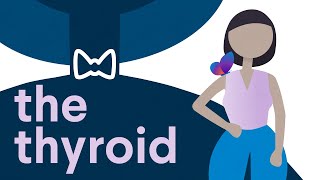 All About the Thyroid [upl. by Eitirahc]