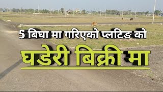 5 बिघा मा गरिएको प्लटिन्ङ को घडेरीहरु बिक्री मा  ghar jagga nepal  real estate nepal [upl. by Siloa]