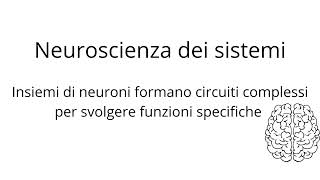 Introduzione alle Neuroscienze [upl. by Bach392]