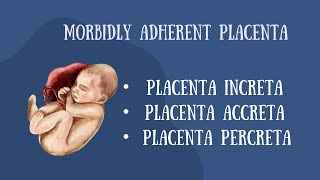 MORBIDLY ATTACHED PLACENTAPLACENTA INRCETAPLACENTA PERCRETAACCRETA [upl. by Nallij]