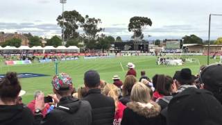 Stawell Gift Final 2016 winner Isaac Dunmall 1217sec [upl. by Belayneh]