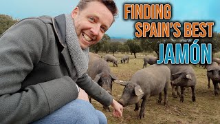 Where Does Spains Best Jamón Come From [upl. by Gaile]