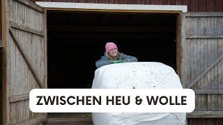 Zwischen Heu amp Wolle  Unsere Schafe in Nordschweden [upl. by Adlay783]