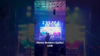 Marley Brothers Exodus LIVE Toronto [upl. by Amitie892]