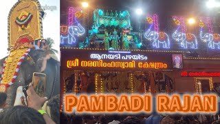 quotPambadi Rajan mass entry by Sailesh Vaikom at Anayadi Pooram 2024quot [upl. by Balsam]