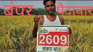 JK 2609PaddyBampar UpajPlot VisitLive VedioKisan Shree [upl. by Anayra]