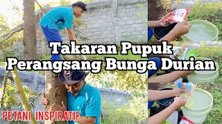 Takaran Pupuk Perangsang Bunga Durian [upl. by Sallad]