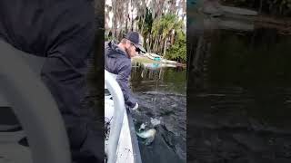 Hard to beat bass fishing Pasco county [upl. by Tammy]