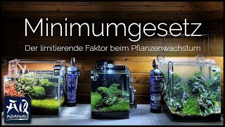 Das Minimumgesetz erklärt  AquaOwner [upl. by Eisdnil]