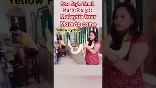 Yellow big python Penang Malaysia snake temple Malaysia tour snake tamil tour holiday yt [upl. by Hcone]