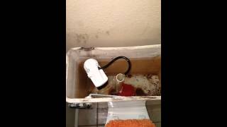 Korky fill valve for toilet install [upl. by Notnyw]