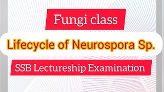 Life cycle of Neurospora Sp Explained in Odia [upl. by Vander401]